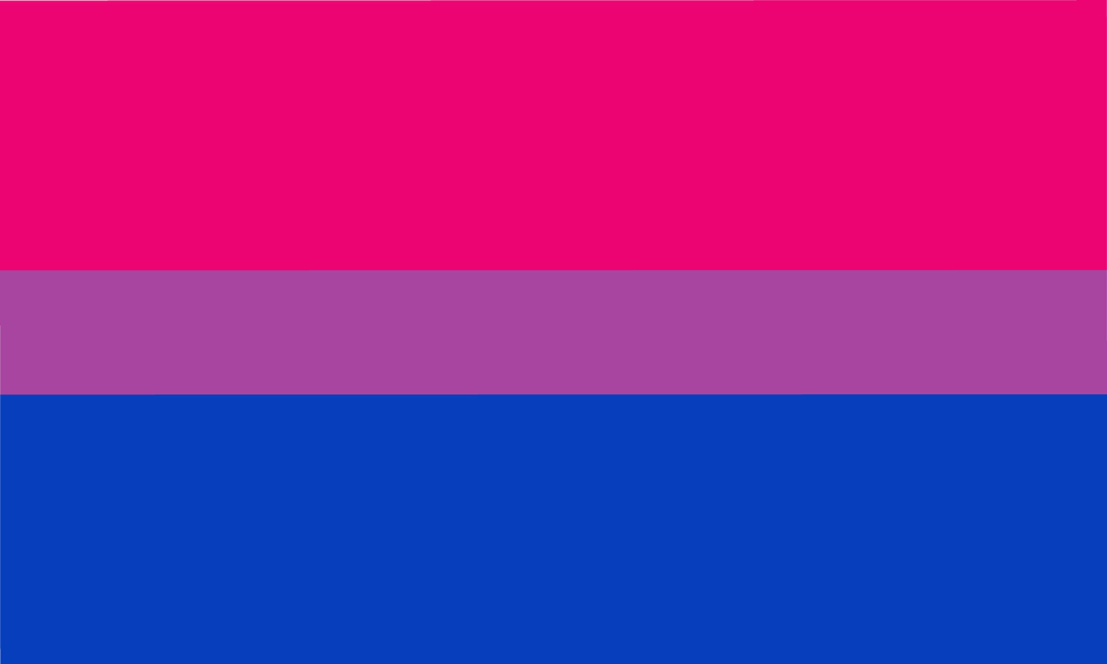 bandiere LGBTQIA+ significato guida, bandiere LGBTQIA+ significato, LGBTQIA+ guida